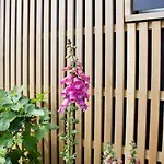 House In Beautiful 코펜하겐