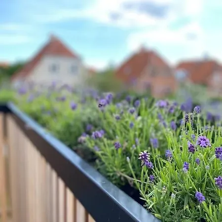 House In Beautiful * Kodaň
